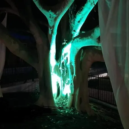 Euphoria Complex * Кавос