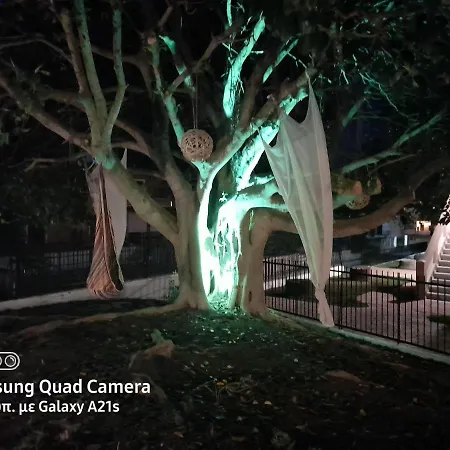 Appartamento Euphoria Complex *